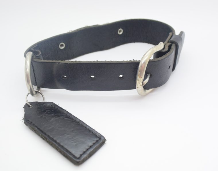 Hundehalsband DOG Leder schwarz-12839