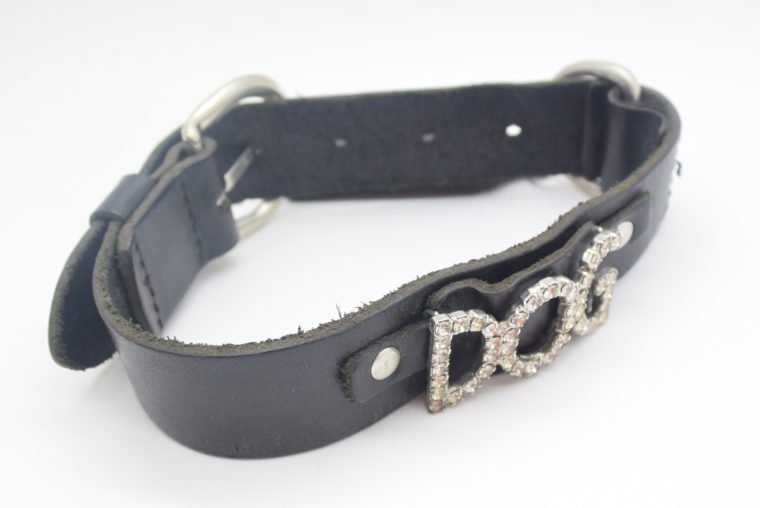 Hundehalsband DOG Leder schwarz-12840